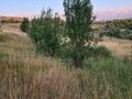 Жер телімі · 25 сотық, Күнгей 222, бағасы: ~ 11 млн ₸ в Ленгере — фото 2