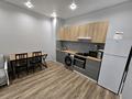 2-комнатная квартира · 42 м² · 11/11 этаж, Тянь-Шанская 7 — Макатаева за 350 000 ₸ в Алматы, Медеуский р-н — фото 11