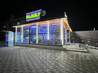 Готовый бизнес: продуктовый минимаркет с жилым домом и участком · 100 м² за 150 млн ₸ в Балхаше