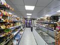 Готовый бизнес: продуктовый минимаркет с жилым домом и участком · 100 м², бағасы: 150 млн ₸ в Балхаше — фото 16