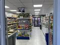 Готовый бизнес: продуктовый минимаркет с жилым домом и участком · 100 м², бағасы: 150 млн ₸ в Балхаше — фото 20