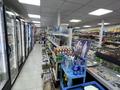 Готовый бизнес: продуктовый минимаркет с жилым домом и участком · 100 м², бағасы: 150 млн ₸ в Балхаше — фото 7