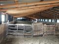 Сельское хозяйство · 50000 м², бағасы: 60 млн ₸ в Актобе — фото 6