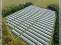 Жер телімі · 32 га, Село Шиели, бағасы: 65 млн ₸ в Макинске — фото 16