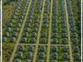 Жер телімі · 32 га, Село Шиели, бағасы: 65 млн ₸ в Макинске — фото 17