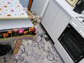1-комнатная квартира · 36 м² · 1/3 этаж, мкр Самал, 31 улица — Параллель ул. макжанова ( 1 улица) за 13 млн ₸ в Атырау — фото 7