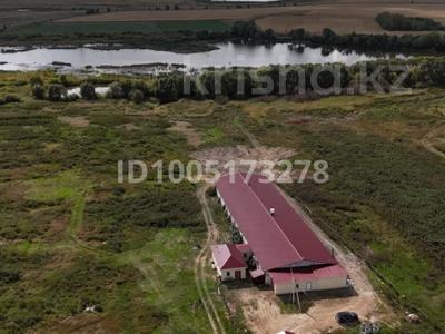 Промбаза · 10 га, Тауелсиздик за 110 млн 〒 в Домбыралы