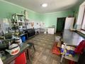 Жеке үй · 6 бөлме · 375 м² · 10 жүзд., Азаттык 11Б, бағасы: 208 млн ₸ в Алматы, Алатауский р-н — фото 39