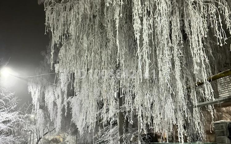 Отдельный дом · 4 комнаты · 100 м², Айтеке Би — Базар в 500 метрах. за 500 000 〒 в Талгаре — фото 2