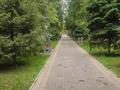 3-бөлмелі пәтер · 80 м² · 5/5 қабат, Тулебаева 174, бағасы: 128.5 млн ₸ в Алматы, Медеуский р-н — фото 17