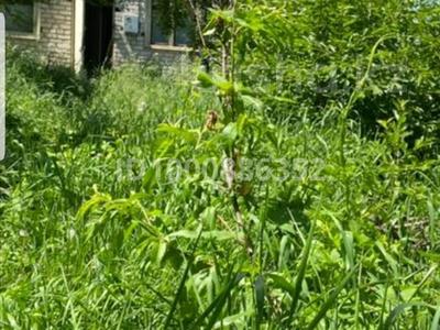 Аренда домов или дач в Алматы: Дача · 2 комнаты · 35 м² · помесячно, мкр Тастыбулак 35 — Остановка Айболит за 90 000 〒 Дача · 2 комнаты · 35 м² · помесячно, мкр Тастыбулак 35 — Остановка Айболит за 90 000 〒 в Алматы, Наурызбайский р-н