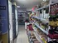 Магазины и бутики · 70 м² за 33 млн ₸ в Астане, Есильский р-н — фото 3