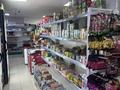 Магазины и бутики · 70 м² за 33 млн ₸ в Астане, Есильский р-н — фото 4