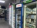 Магазины и бутики · 70 м² за 33 млн ₸ в Астане, Есильский р-н — фото 8