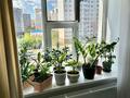 3-комнатная квартира · 75 м² · 5/9 этаж, Кенен Азербаева 10 за 35 млн 〒 в Астане, Алматы р-н — фото 5