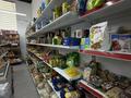 Магазины и бутики · 110 м² за 18 млн ₸ в Астане, Нура р-н — фото 3