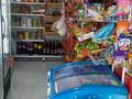 Бизнес продуктовый магазин · 36 м², бағасы: 7 млн ₸ в Астане, Нура р-н — фото 11