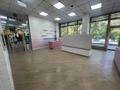 Магазины и бутики · 135 м² за 2.5 млн 〒 в Алматы, Медеуский р-н — фото 11