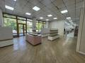 Магазины и бутики · 135 м² за 2.5 млн 〒 в Алматы, Медеуский р-н — фото 6