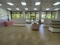 Магазины и бутики · 135 м² за 2.5 млн 〒 в Алматы, Медеуский р-н — фото 7