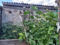 Жеке үй · 3 бөлме · 61.7 м² · 3.15 жүзд., Летунова 45 — Пересечение улиц Дощанова Павлова, бағасы: 21 млн ₸ в Костанае — фото 10