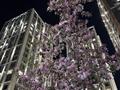 4-комнатная квартира · 118 м² · 9/23 этаж, Аль-Фараби 103 — Ходжанова за 135 млн ₸ в Алматы, Бостандыкский р-н — фото 3