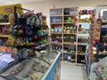 Свободное назначение, магазины и бутики · 40 м² за 10 млн ₸ в Актау — фото 5
