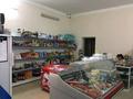 Магазины и бутики, общепит • 200 м² за 10 млн 〒 в С.шапагатовой — фото 13