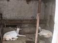 Отдельный дом · 4 комнаты · 120 м² · 10 сот., Орынтайева 21 — Алтынсарин мектеп алдында за 19 млн ₸ в Шелек — фото 9