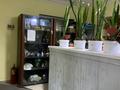11 комнат · 400 м² · 1/2 этаж, Кармысова 82 — Курменгазы за 70 000 ₸ в Алматы, Медеуский р-н — фото 15
