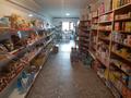 Магазины и бутики • 70 м² за 45 млн 〒 в Иргелях — фото 12