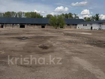Промбаза · 123 сотки, Балты Сейдалиева 64 — Боролдай - ПРОМБАЗА - СРОЧНАЯ ПРОДАЖА!!!! за 280 млн 〒 в Боралдае (Бурундай)