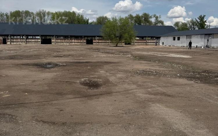 Өнеркәсіптік база · 123 сотық, Балты Сейдалиева 64 — Боролдай - ПРОМБАЗА - СРОЧНАЯ ПРОДАЖА!!!!, бағасы: 270 млн ₸ в Боралдае (Бурундай) — фото 5