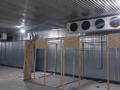 Промбаза · 50 соток, Шынгыстау 6 за 200 млн ₸ в Каскелене — фото 4