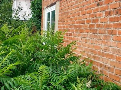 Отдельный дом · 3 комнаты · 58.4 м² · 6 сот., С/о Черёмушки 194 за 5.9 млн ₸ в Усть-Каменогорске, Ахмирово