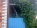 Отдельный дом · 3 комнаты · 58.4 м² · 6 сот., С/о Черёмушки 194 за 5.9 млн ₸ в Усть-Каменогорске, Ахмирово — фото 7