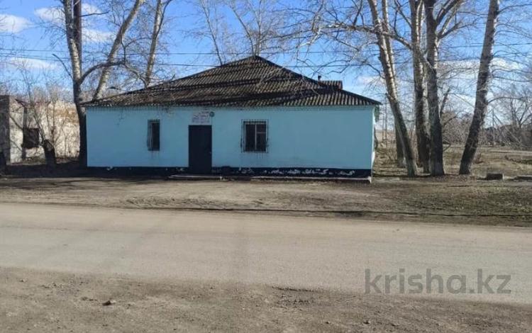 Свободное назначение, офисы, магазины и бутики, склады, общепит, сельское хозяйство, бани, гостиницы и зоны отдыха, медцентры и аптеки, образование, развлечения · 200 м² за 21 млн ₸ в Златополье — фото 2