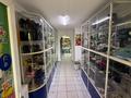 Свободное назначение, магазины и бутики · 56.1 м² за 33.5 млн ₸ в Кокшетау — фото 3