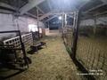 Участок · 480 га, Караой за 67 млн ₸ — фото 28