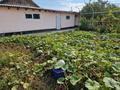 Отдельный дом · 4 комнаты · 118.4 м² · 30 сот., мкр Жалпак-Тобе 187 — По Жибек жолы. за 30 млн 〒 в Таразе — фото 8