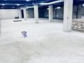 Еркін · 250 м², бағасы: 2 млн ₸ в Алматы, Наурызбайский р-н — фото 4