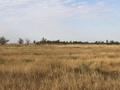 Участок · 50 соток, Каратауский р-н за 40 млн ₸ в Шымкенте