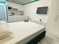 1-комнатная квартира · 25 м² · 1/9 этаж, Райымбек батыра 161Б — Астер Авто- Апорт за 15 000 ₸ в  — фото 14