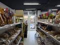 Продуктовый магазин, готовый бизнес · 60 м², бағасы: 12 млн ₸ в Алматы, Наурызбайский р-н — фото 4