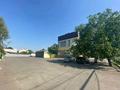 Еркін • 728 м², бағасы: 3 млн 〒 в Алматы, Ауэзовский р-н — фото 9