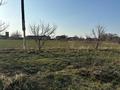 Жер телімі · 1.5 га, Тасалма — Верхняя трасса Жандосова не доезжая Долан, бағасы: 88 млн ₸ в Кыргауылдах — фото 3