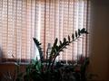 2-бөлмелі пәтер · 54 м² · 4/5 қабат, мкр Восток 10 — Рыскулова, бағасы: 22 млн ₸ в Шымкенте, Аль-Фарабийский р-н — фото 9
