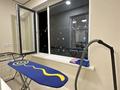 2-комнатная квартира · 50 м² · 9/12 этаж, Райымбека 210 — Райымбека Ауезова за 350 000 ₸ в Алматы, Алмалинский р-н — фото 7