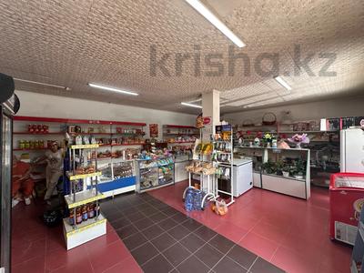 Отдельный дом · 7 комнат · 203.6 м² · 7 сот., Б. Момышулы 118 за 32 млн ₸ в Кызылту