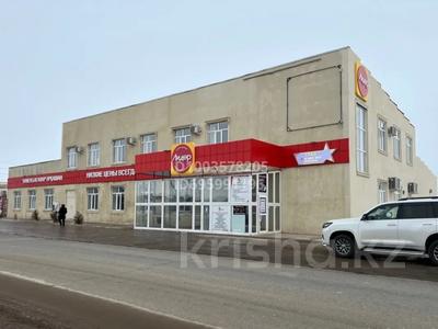 Еркін · 1600 м², бағасы: 195 млн ₸ в Уральске, мкр Жулдыз
